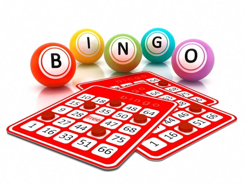 Play and Win at Bingo Websites